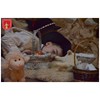 jaselka2017_24